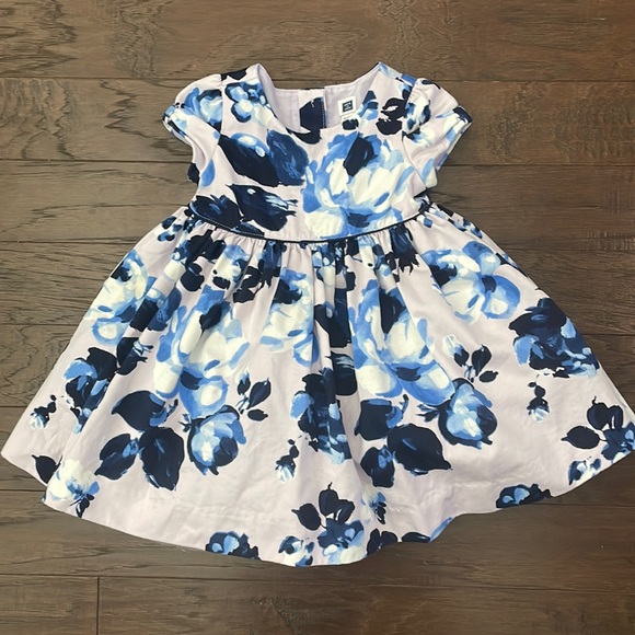 Janie and Jack Other - Janie and Jack Girl Pink Blue Floral Easter Dress 12-18M